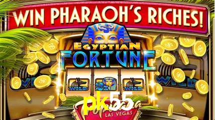 Cadastro rápido e seguro na pk55